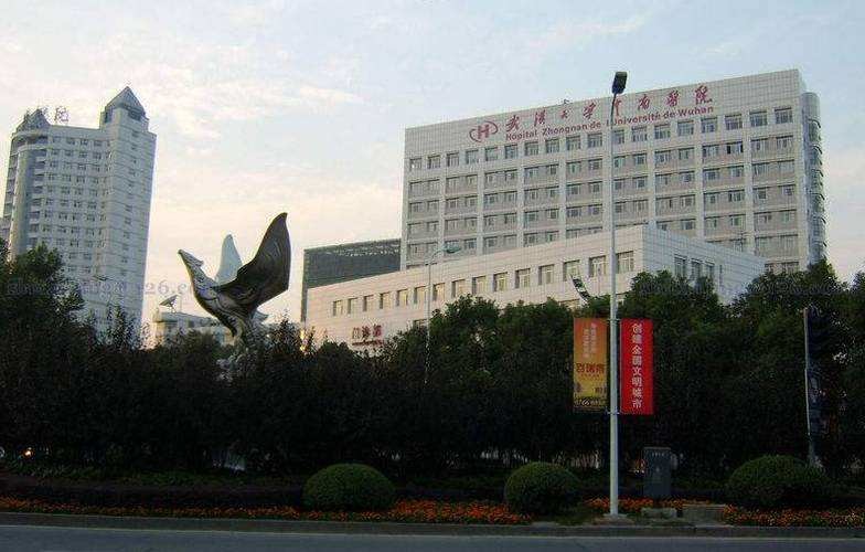 trường hợp công ty mới nhất về Bệnh viện Zhongnan thuộc Đại học Vũ Hán
